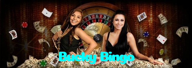 available types of Bucky Bingo bet including pre-match live express and system bets